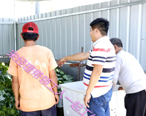 夏日來(lái)臨，當(dāng)你吹空調(diào)喊熱的時(shí)候，讓我?guī)阋黄鹱哌M(jìn)東楓園林體驗(yàn)一下東楓人高溫下工作不一樣的夏日風(fēng)采