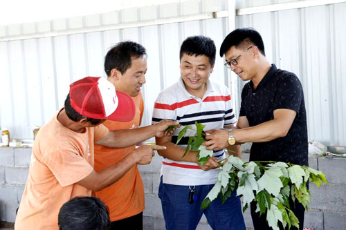 夏日來(lái)臨，當(dāng)你吹空調(diào)喊熱的時(shí)候，讓我?guī)阋黄鹱哌M(jìn)東楓園林體驗(yàn)一下東楓人高溫下工作不一樣的夏日風(fēng)采