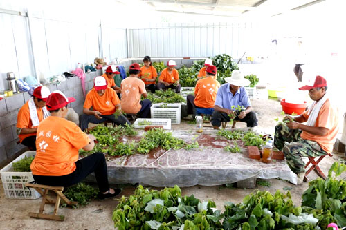 夏日來(lái)臨，當(dāng)你吹空調(diào)喊熱的時(shí)候，讓我?guī)阋黄鹱哌M(jìn)東楓園林體驗(yàn)一下東楓人高溫下工作不一樣的夏日風(fēng)采