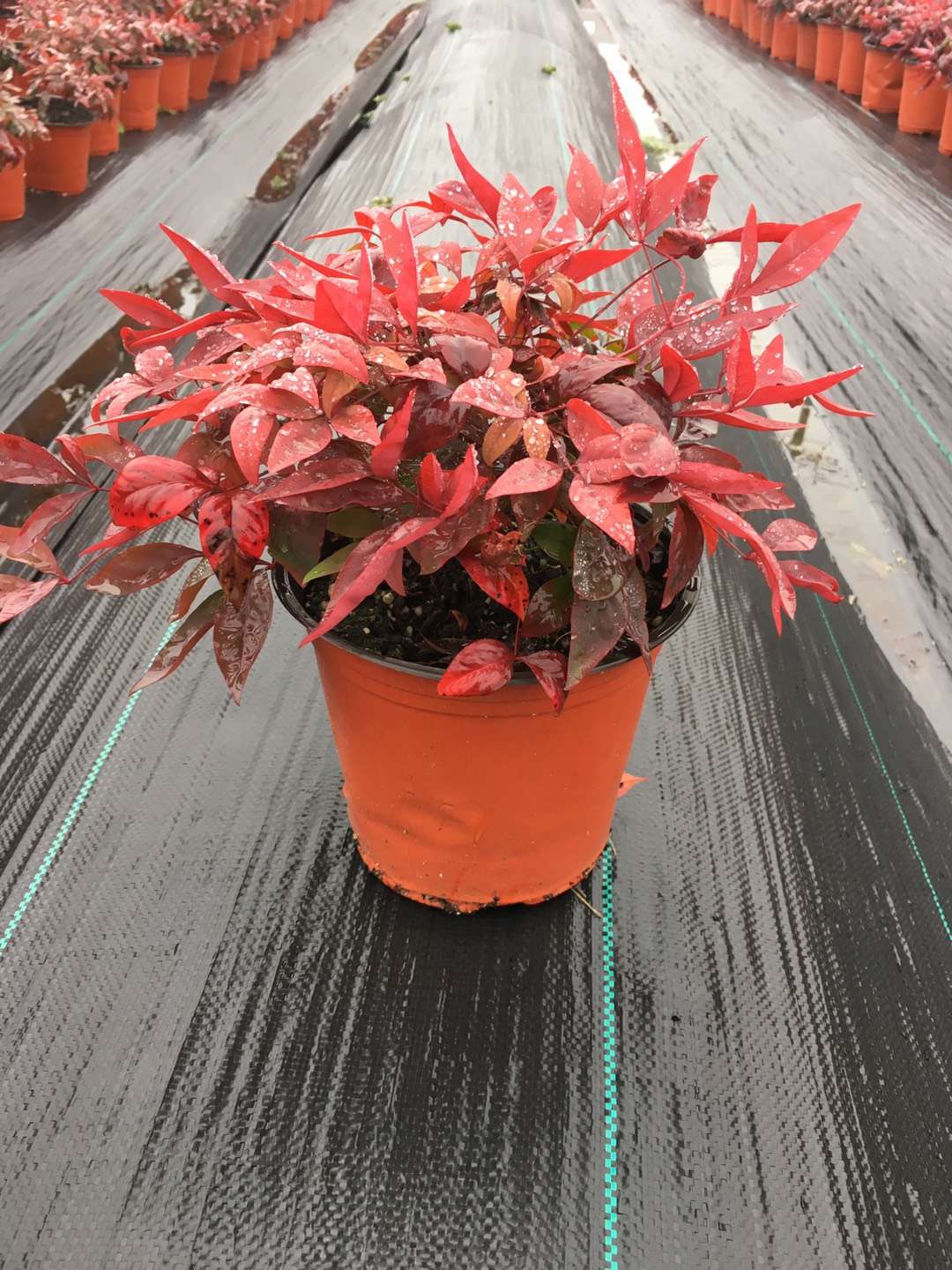 關于品質，我們“用圖”說話