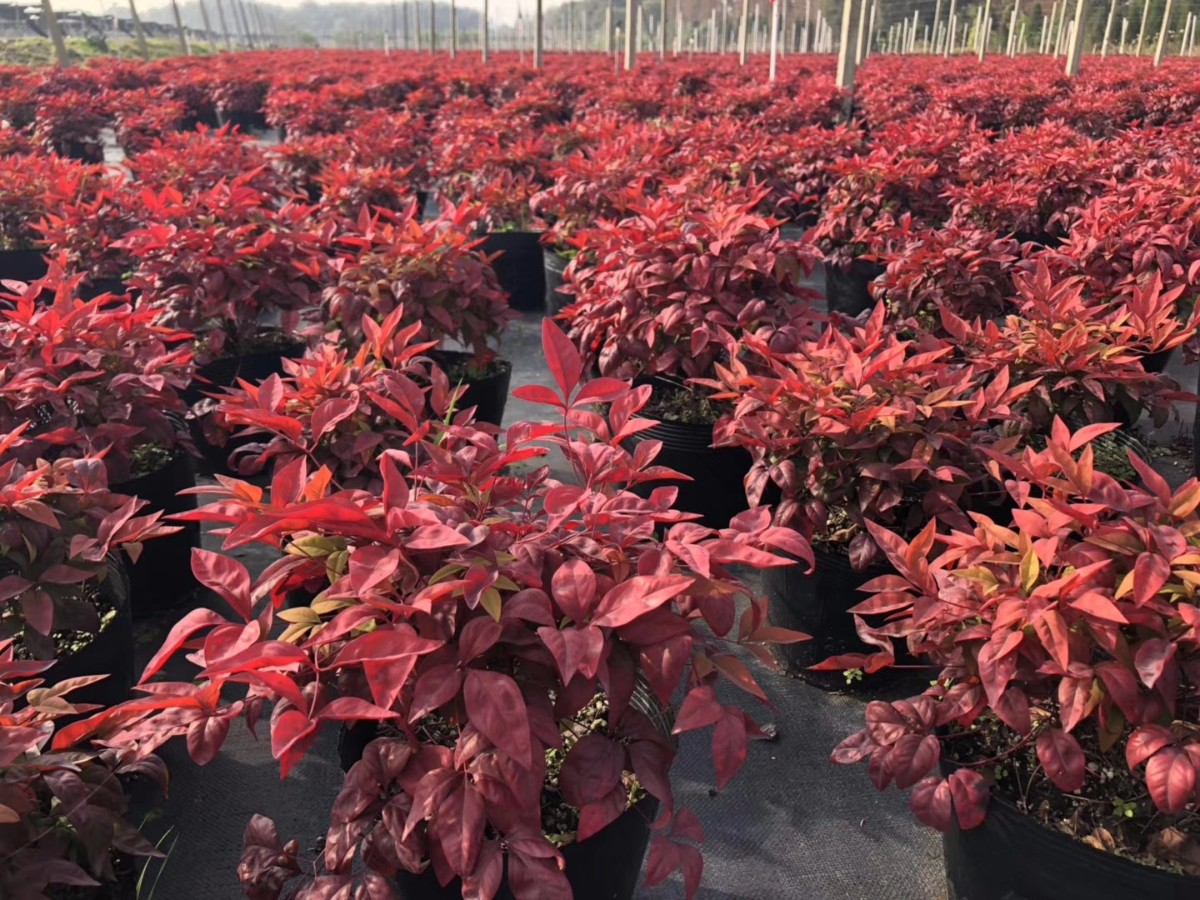 關于品質，我們“用圖”說話