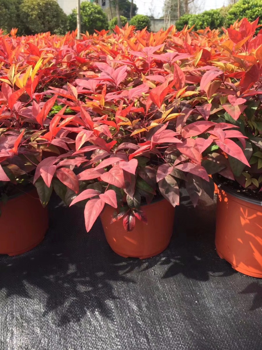 關于品質，我們“用圖”說話